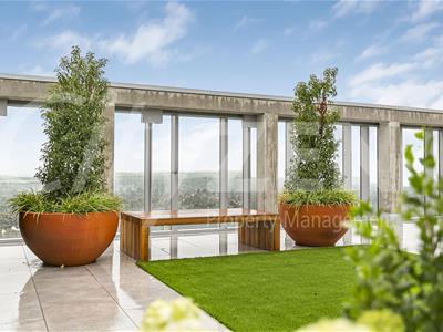 ROOF GARDEN
